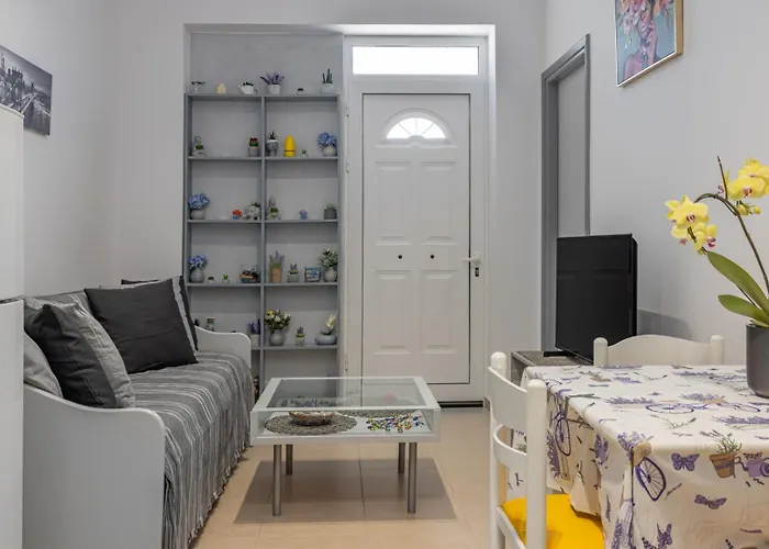 Rania's House